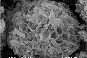 核壳结构梯度镍钴锰三元正极材料前驱体及其制备方法
