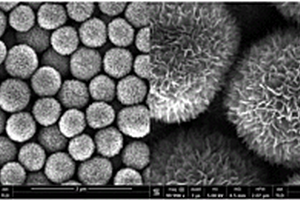 TiO2花状分级结构亚微米球的溶剂热合成方法