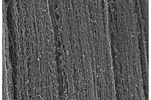 单壁碳纳米管纤维的合成方法