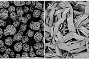 三元正极材料微米级片状单晶结构团聚体及其制备方法
