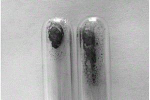 晶核辅助高温差法快速制备黑磷的方法