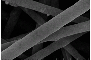 金属磷化物纳米纤维及其制备方法