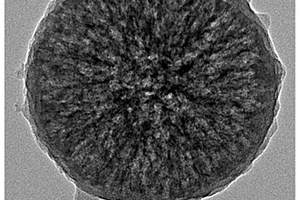 核壳异形多孔碳球及其制备方法