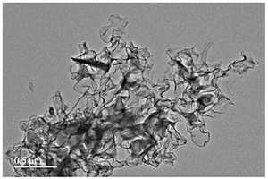 薄绸状掺氮炭的制备方法