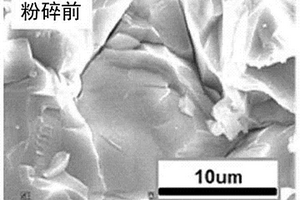 陶瓷粉末、复合粉末材料及密封材料