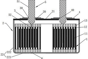 导针复合扣式电池