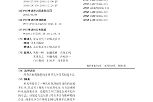 具有高耐腐蚀性的金属多孔体及其制造方法