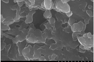 氮掺杂碳纳米导电网络/硫复合材料、制备方法和用途