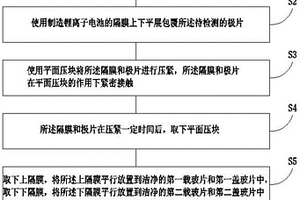 检测极片粉尘颗粒的方法以及装置