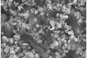 石墨烯/TiO<Sub>2</Sub>复合正极的制备方法