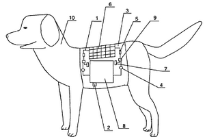 有机发光显示器应用在狗衣服上的广告装置