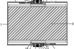 双向极柱的动力电池
