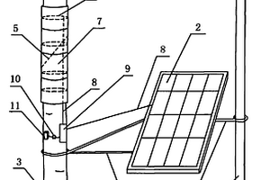 太阳能光伏发电系统应用在苹果树嫁接上的养护装置