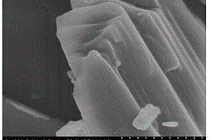新型钛酸锂材料的制备方法