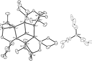 含氮氧离子型锂镁双金属催化剂及其制备方法和应用