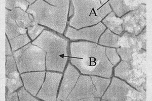 钴酸盐转化液及在镁锂合金表面处理中的应用