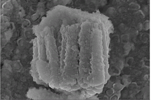 锂插层二氧化锰-氮化钛纳米管复合材料及其制备方法与应用