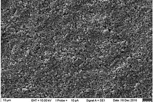 磷酸铁锂复合极片及制备方法