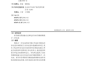 硅负极及其制备方法和包括该硅负极的锂离子二次电池