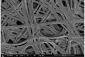 抑制锂枝晶生长的蚕丝蛋白碳化材料
