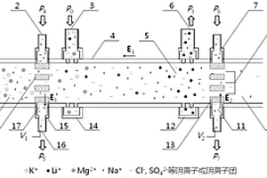 基于离子浓差极化效应的盐湖提锂装置