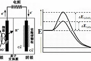 提高微生物燃料电池浸取钴酸锂中Co(III)的方法