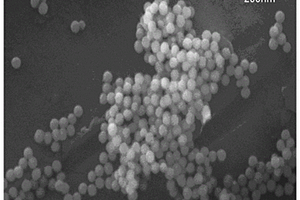 纳米球形氢氧化锂及其制备方法