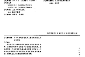 用于可充电锂电池的正极活性材料及其制备方法