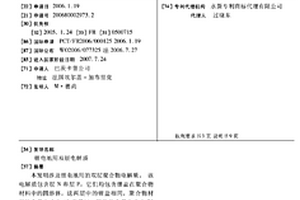 锂电池用双层电解质