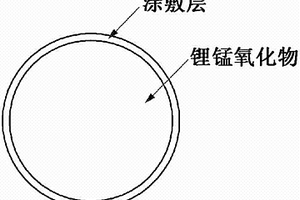 正极活性物质及其制备方法