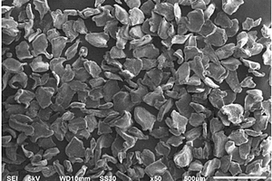 片状金属锂粉及其制备方法