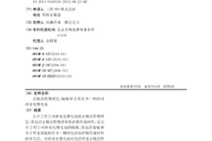 正极活性物质层、隔板和含其至少一种的可再充电锂电池