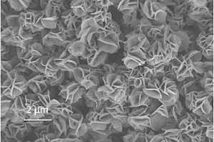 纳米花状氧化钼锂离子电池负极材料及其制备方法