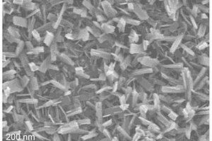 三维金属锂-氧化物复合负极、其制备方法和应用