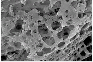 含有氟氧双阴离子的尖晶石型高熵锂离子负极材料及制备方法