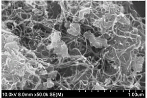 具有聚多巴胺包覆的立体网络结构的锂硫电池正极材料及其制备方法