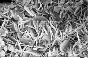 二硅酸锂微晶玻璃、其制备方法及用于牙科材料的应用
