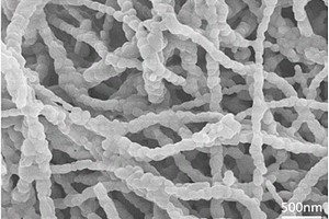 钛酸锂钠纳米线及其制备方法