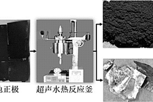 废锂电池电极组成材料的超声水热分离工艺