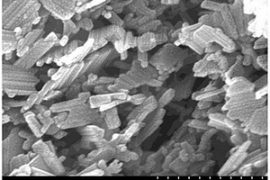 稀土掺杂钛酸锂超薄纳米片负极材料的制备方法