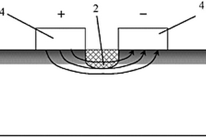 低偏振相关损耗铌酸锂直条波导相位调制器及其制备方法