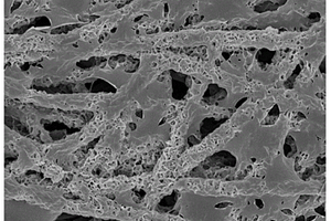 锂硫电池用正极侧隔层材料的制备方法和应用