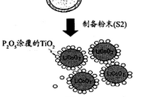 用于制备锂二次电池的正极活性材料的方法