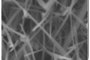 电化学脱锂制备高价过渡金属氧化物纳米材料的方法