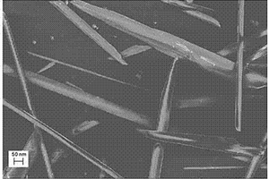 高循环性能锂离子电池负极材料Fe<sub>2</sub>O<sub>3</sub>纳米针叶的制备方法