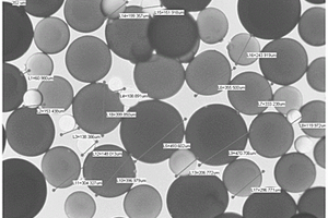 多孔硅球支载的锂吸附树脂及其制备方法