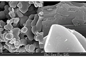 钡-镓双元掺杂的钴酸锂正极材料及其制备方法