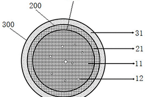 核壳结构富锂锰基复合正极材料及其制备方法和应用