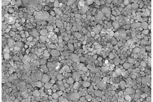 磷酸铁锂体系浆料及其制备方法和应用