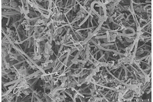 碳纤维负极材料、其制备方法和锂离子电池